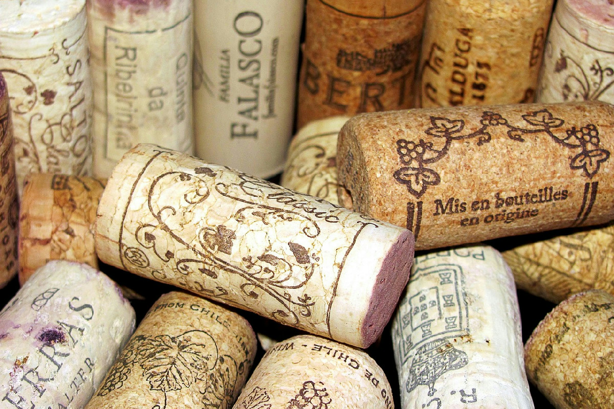 1️⃣ Migliorare la salute delle piante con tappi di sughero posizionati nei vasi domestici