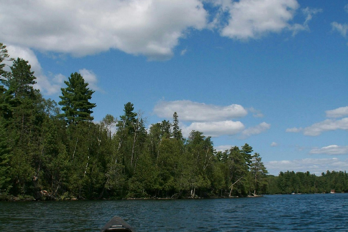 Avventura autentica tra i laghi incontaminati del Minnesota e il fascino dei maestosi lupi selvatici