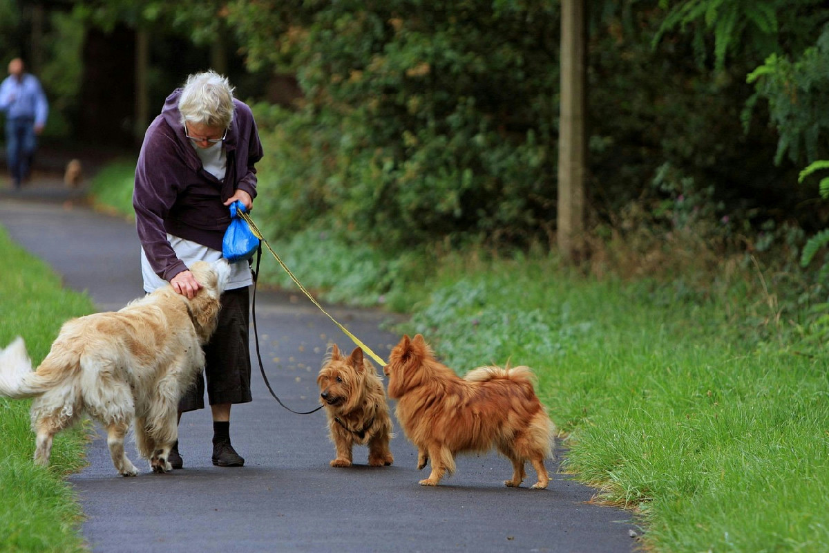 Dopo i 65 anni: perché accogliere un cane porta più benessere e serenità nella vita quotidiana