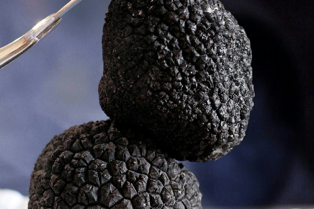 Dove il tartufo domina tra gli Appennini e i sapori diventano un’esperienza unica