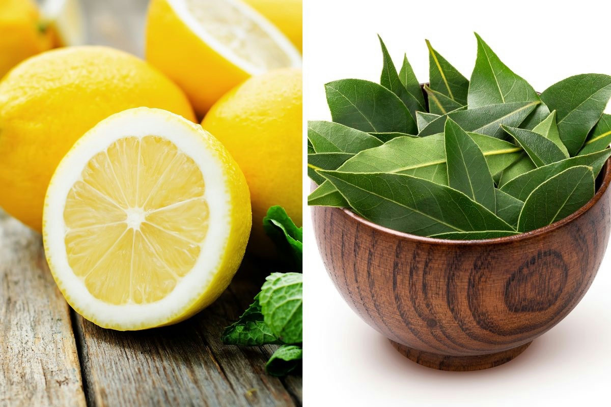 Una marinatura delicata valorizza il sapore del salmone cotto perfettamente alla piastra