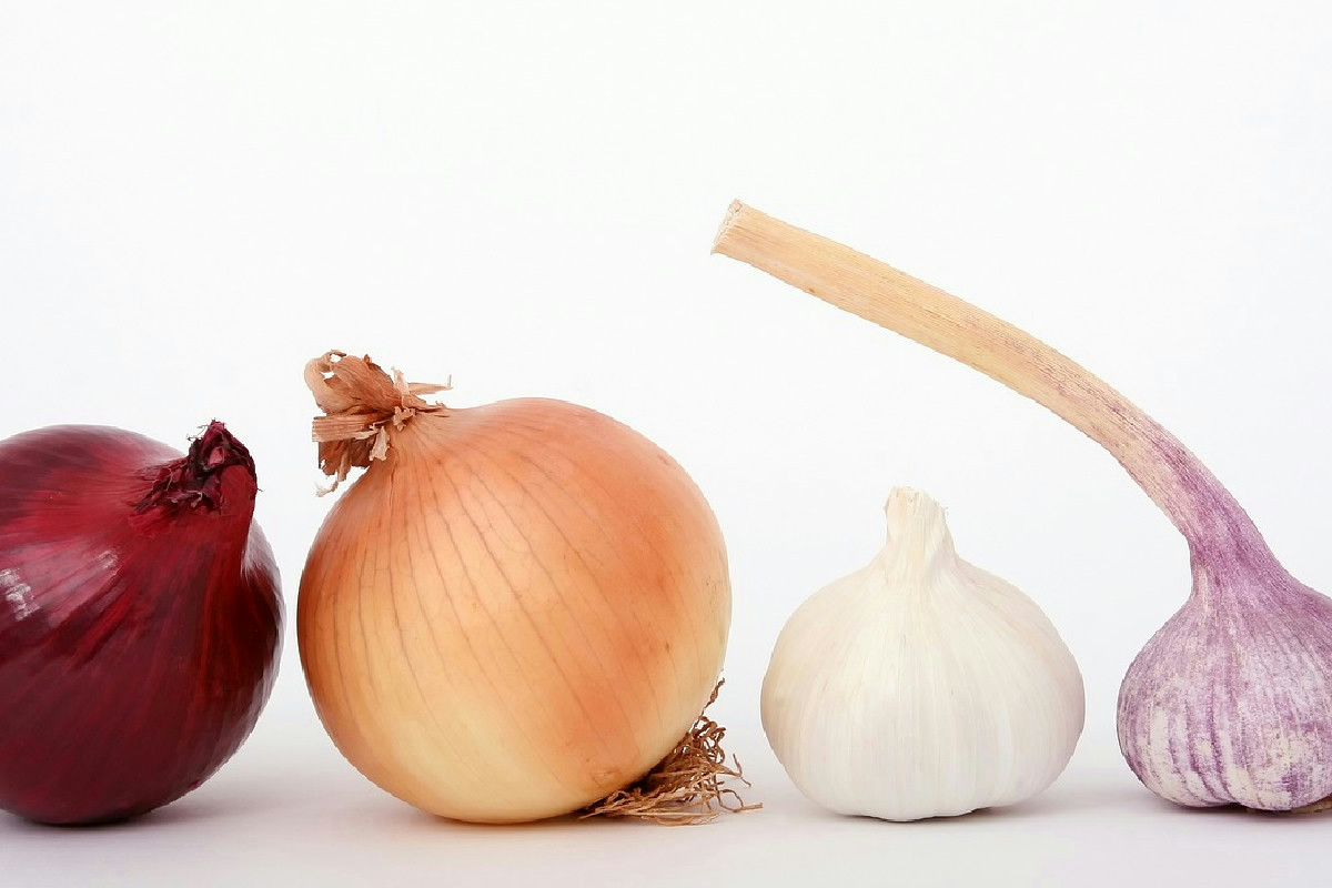 Consigli pratici per conservare le cipolle fresche a lungo e gustarle anche durante l’estate più calda