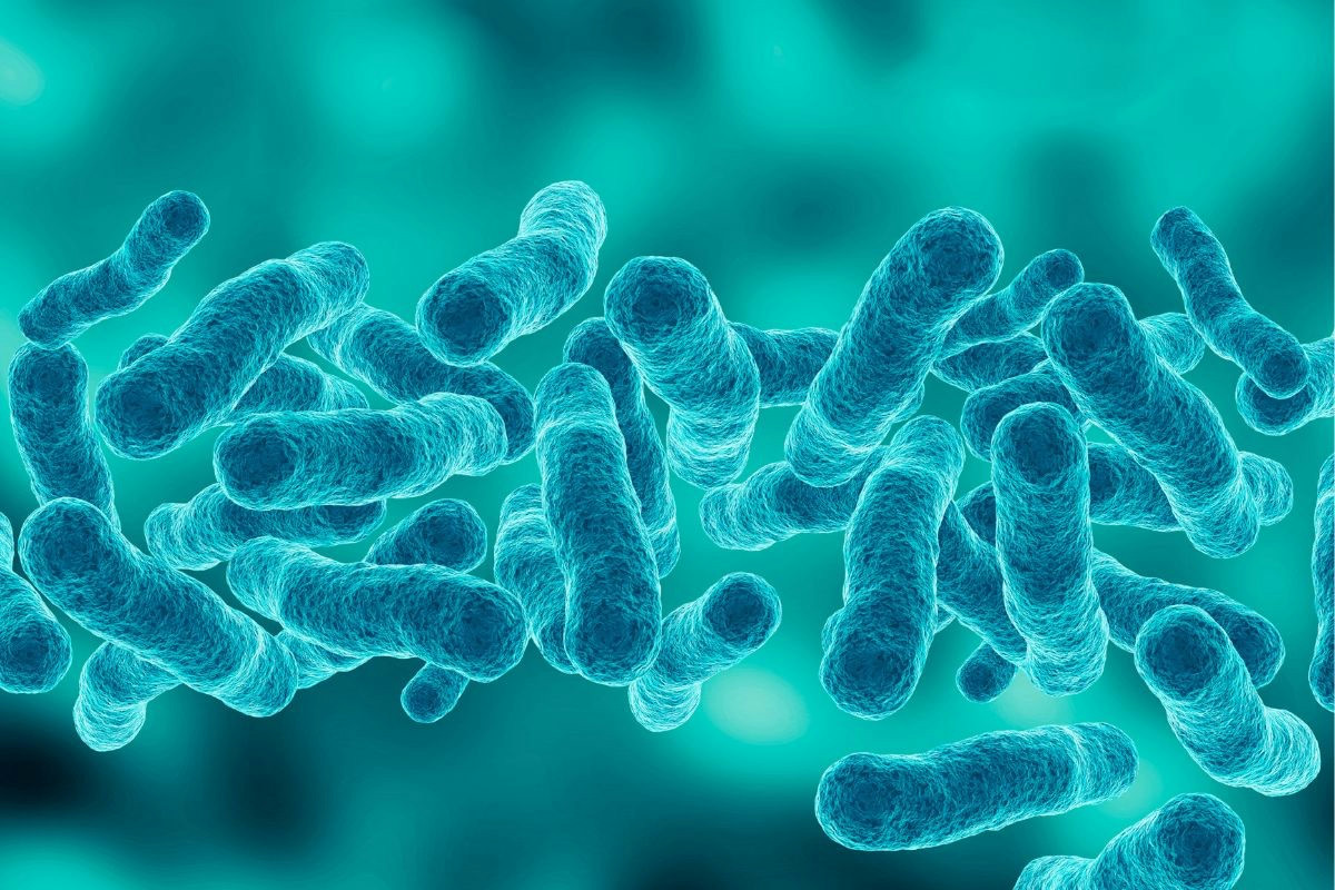 La doccia tra 25 e 40 gradi favorisce la crescita di un batterio invisibile nel box doccia quotidiano