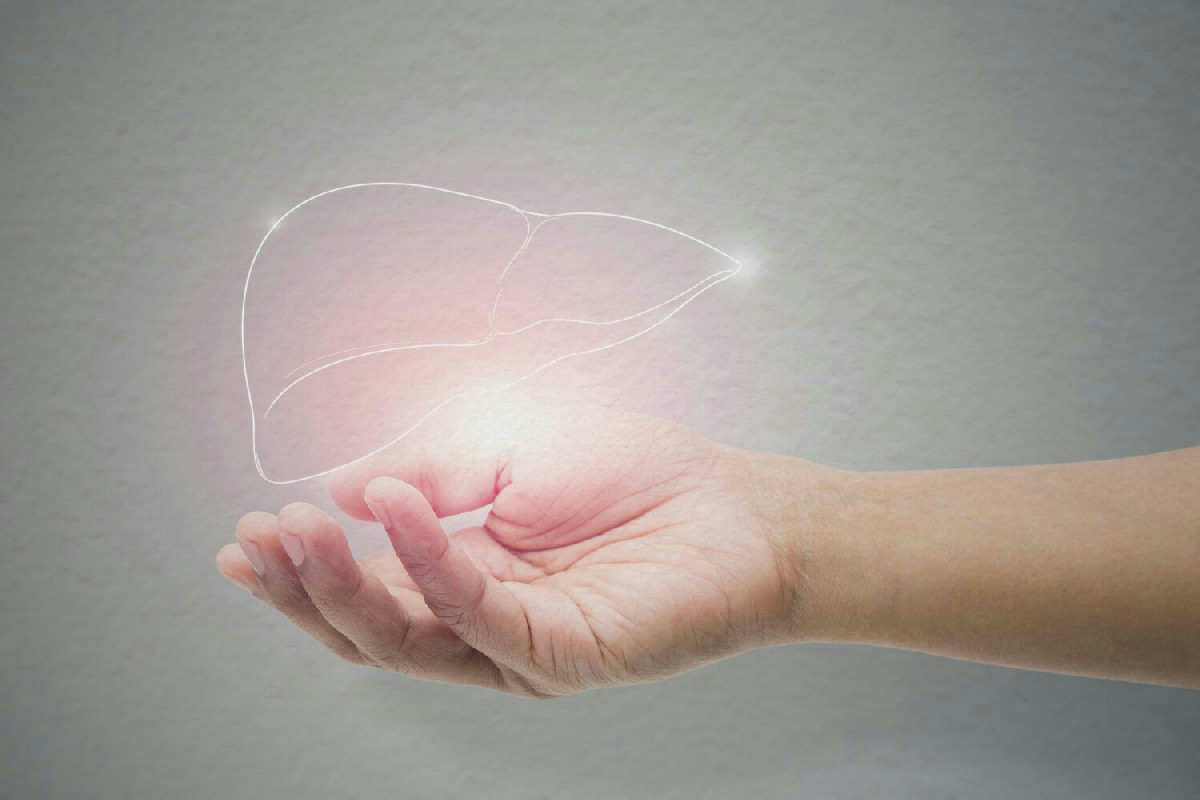 La Garcinia cambogia regola la glicemia e migliora naturalmente il benessere del fegato