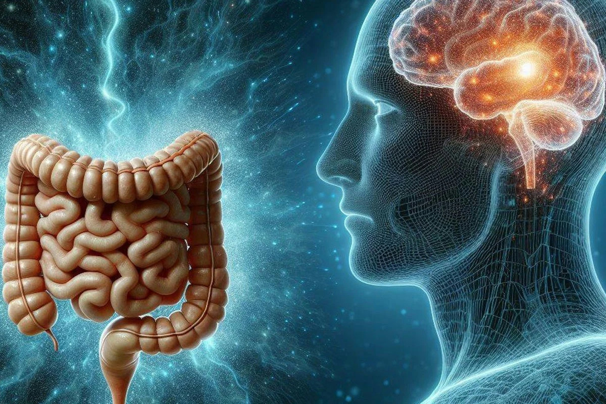 Il legame tra equilibrio intestinale e benessere mentale dopo i 40 anni apre nuove prospettive