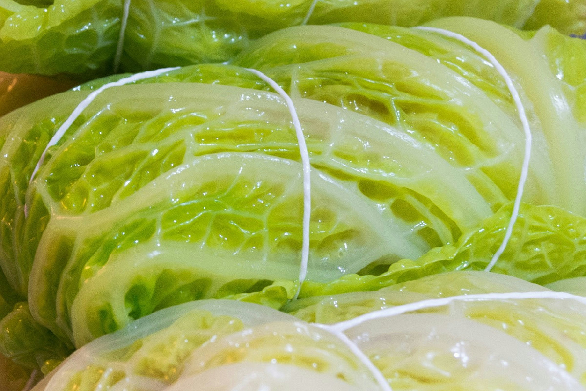 Verza cruda e cotta in autunno: alleate naturali per il benessere e la vitalità stagionale